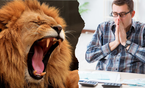 5 dicas para declarar seu imposto de renda