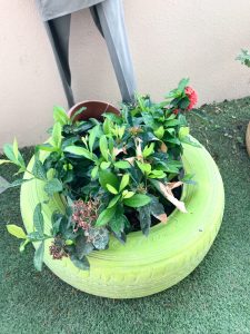 Rs da sustentabilidade